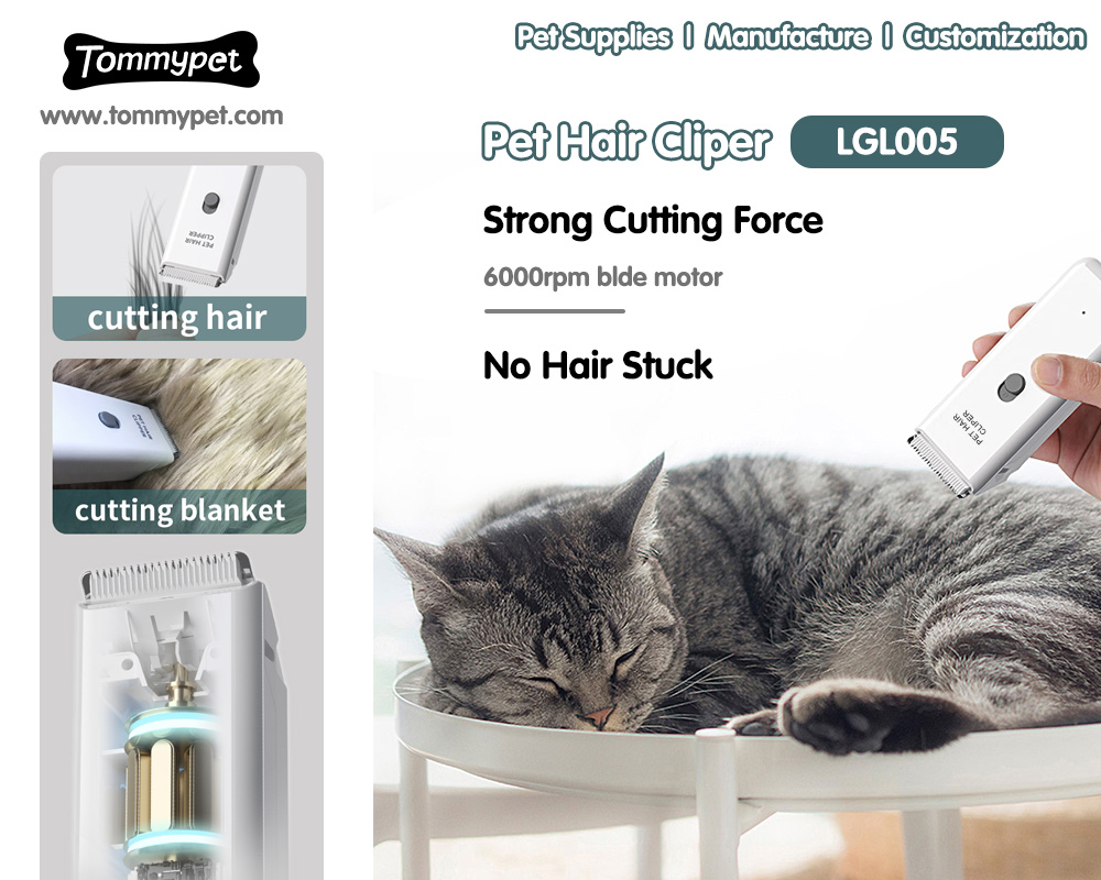 Трюки и советы, чтобы максимально выбрать лучших профессиональных вакуумных волос для волос для волос для волос для кошек
