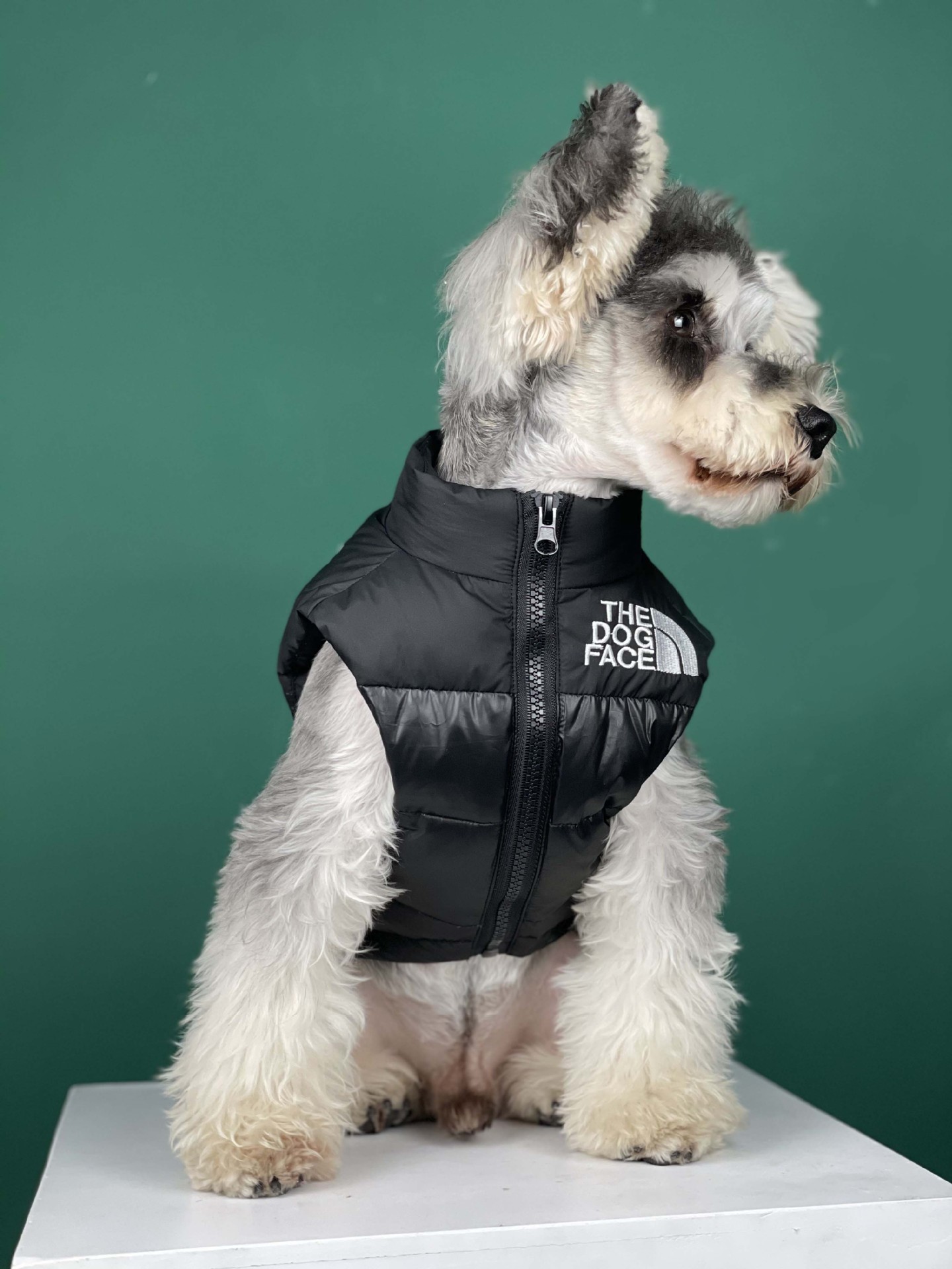 Водонепроницаемая зимняя теплая роскошная пуховая куртка с изображением собаки, щенка, парки, пальто, пуховик, жилет, одежда для собак